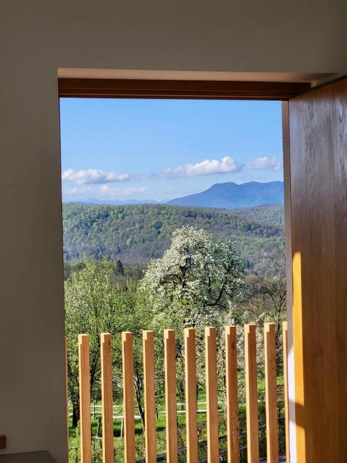 Guest house Domačija Krnc Hrib pri Hinjah Extérieur photo